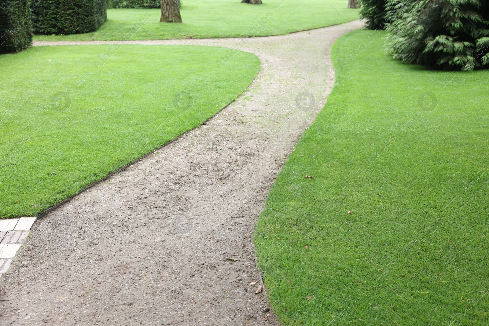 Photo of Pathway surrounded by beautiful green lawn outdoors. Landscape design