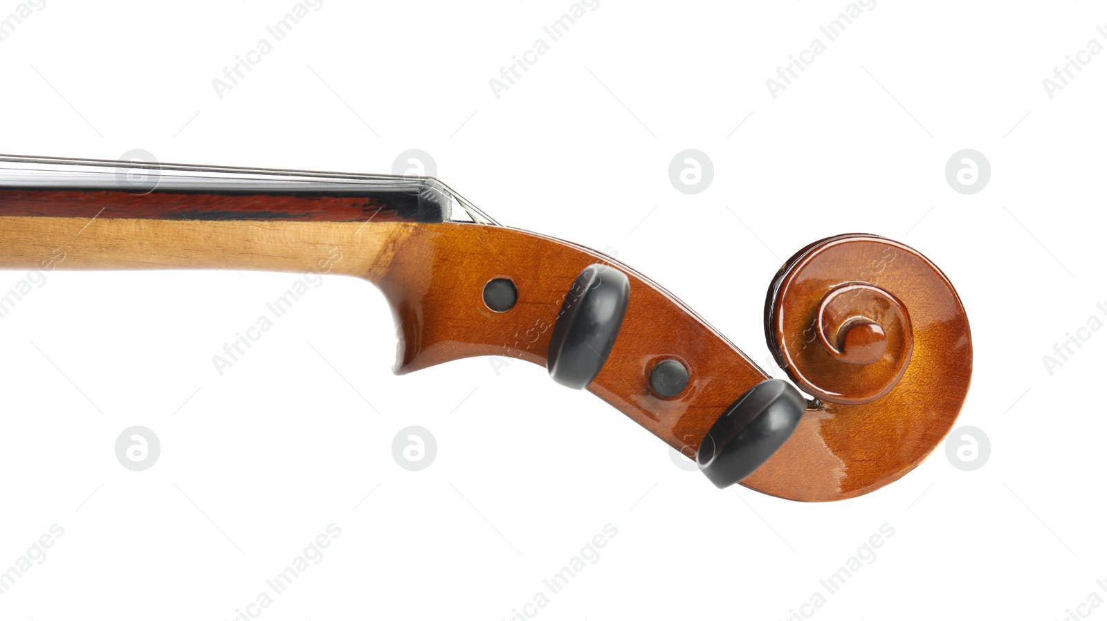 Photo of Beautiful classic violin isolated on white, closeup. Musical instrument