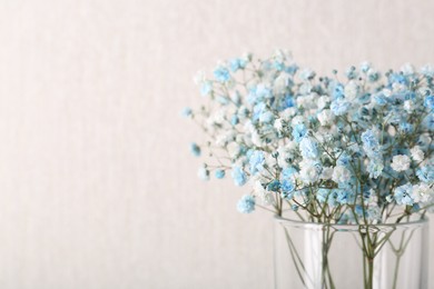 Photo of Beautiful gypsophila flowers in vase on beige background, closeup. Space for text