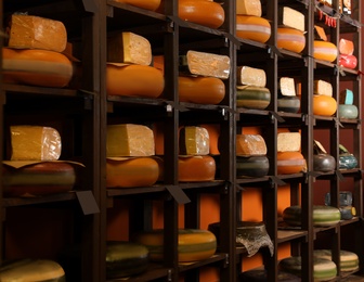 Different types of delicious cheeses on rack in store