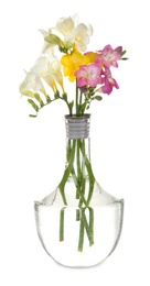 Photo of Glass vase with beautiful freesia flowers on white background