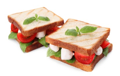 Delicious Caprese sandwiches with mozzarella, tomatoes, basil and pesto sauce isolated on white