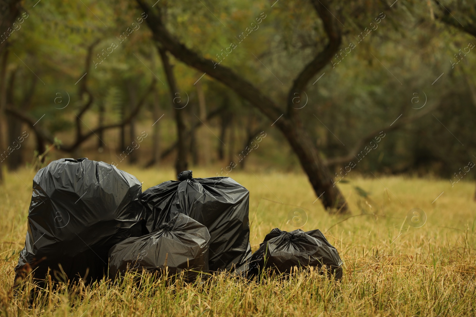 Photo of Trash bags full of garbage outdoors. Space for text