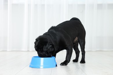 Photo of Cute Pug dog eating from plastic bowl in room