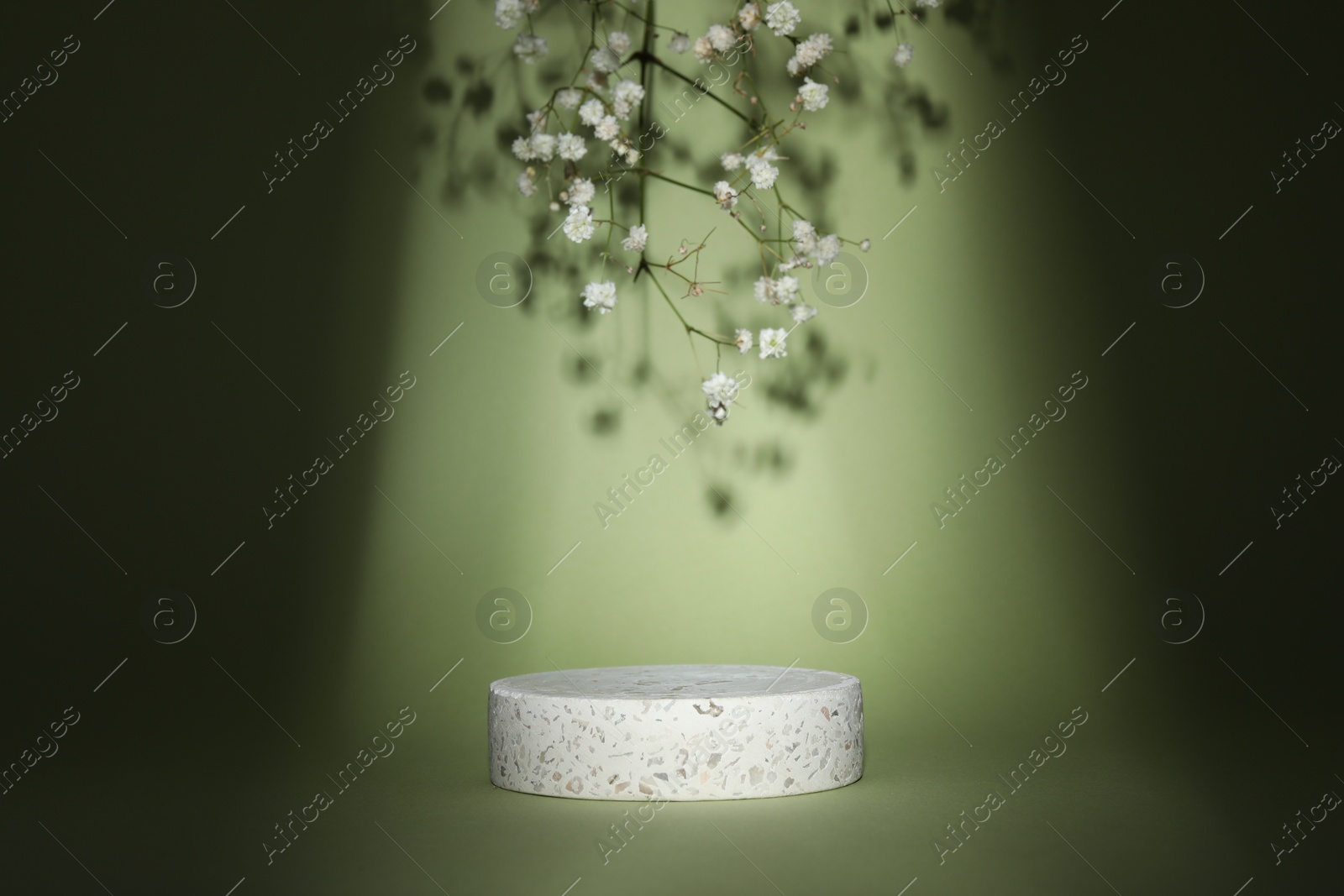 Photo of Presentation of product. Podium, flowers and shadows on light green background. Space for text