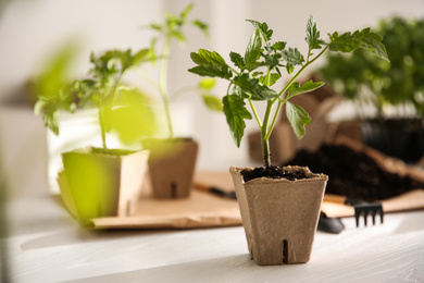 Photo of Green tomato seedling in peat pot on white wooden table