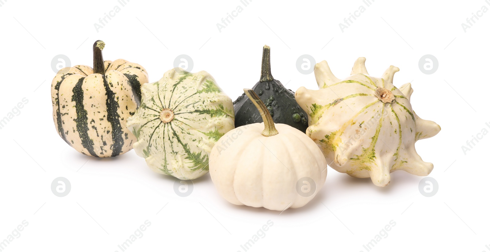 Photo of Different fresh ripe pumpkins isolated on white