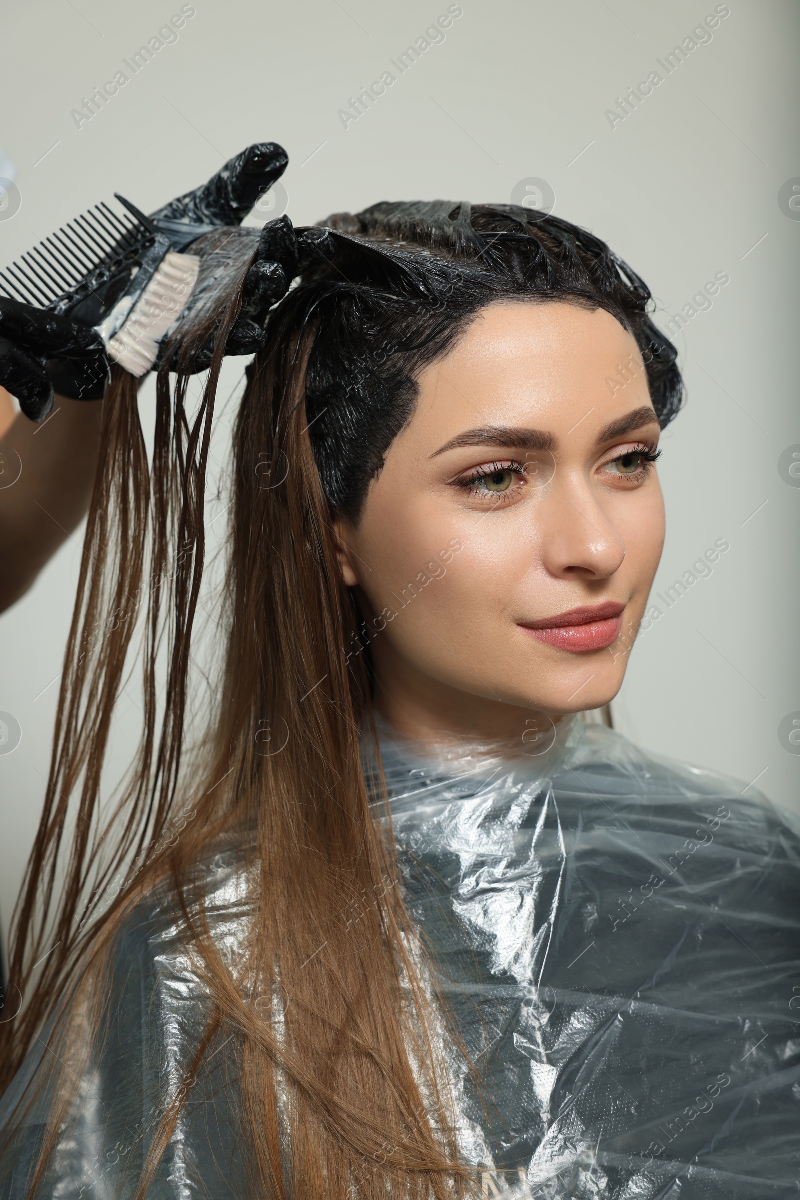 Photo of Professional hairdresser dyeing client's hair in beauty salon