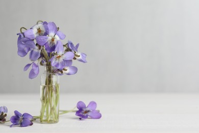 Photo of Beautiful wood violets on white table, space for text. Spring flowers