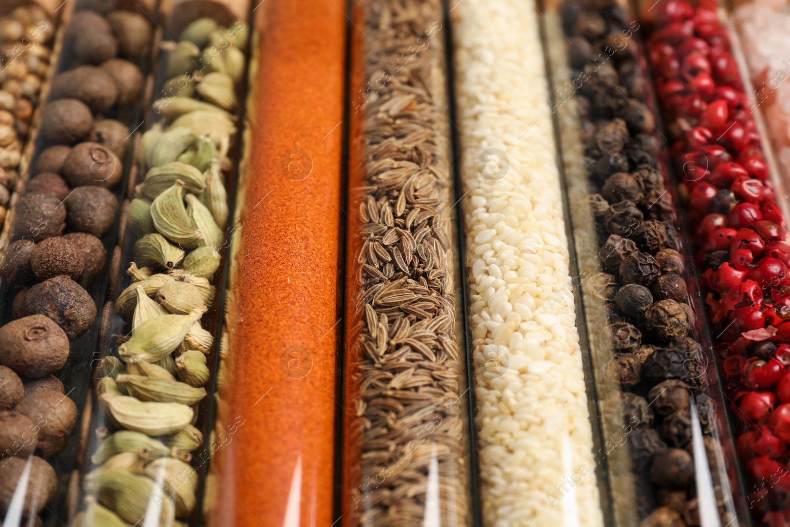 Photo of Glass tubes with different spices, closeup view