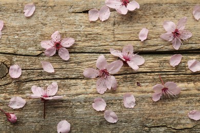 Photo of Spring blossoms and petals on wooden table, flat lay