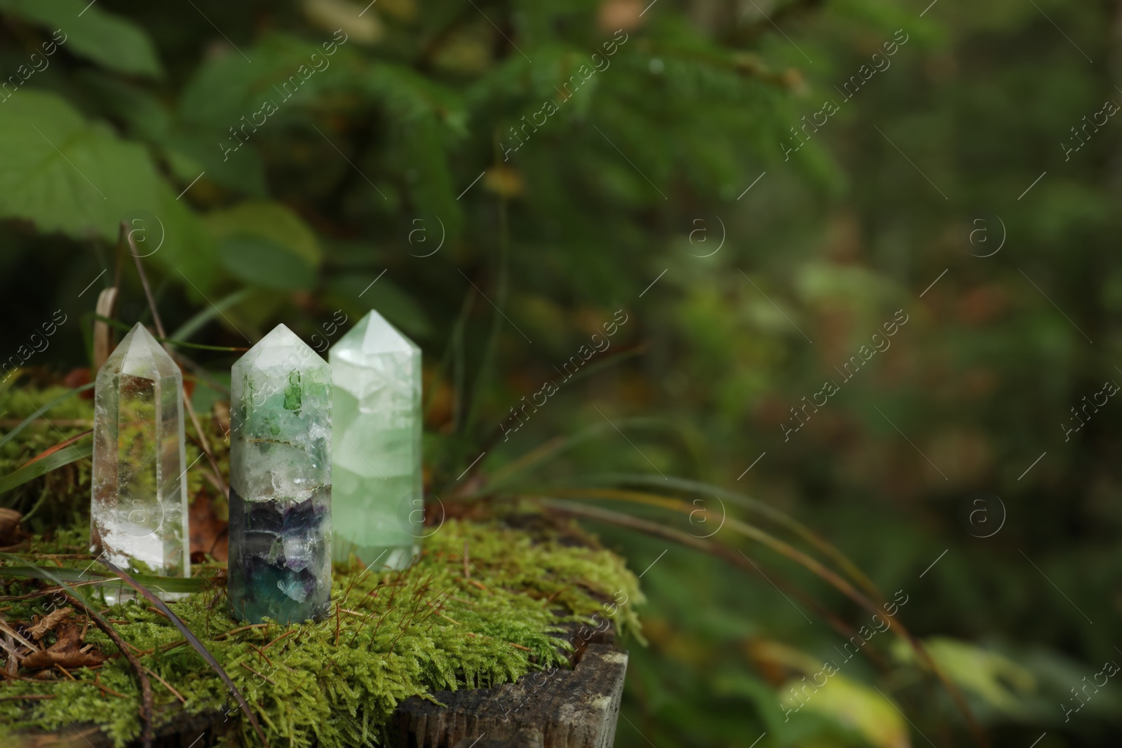 Photo of Different crystals on moss in forest, space for text