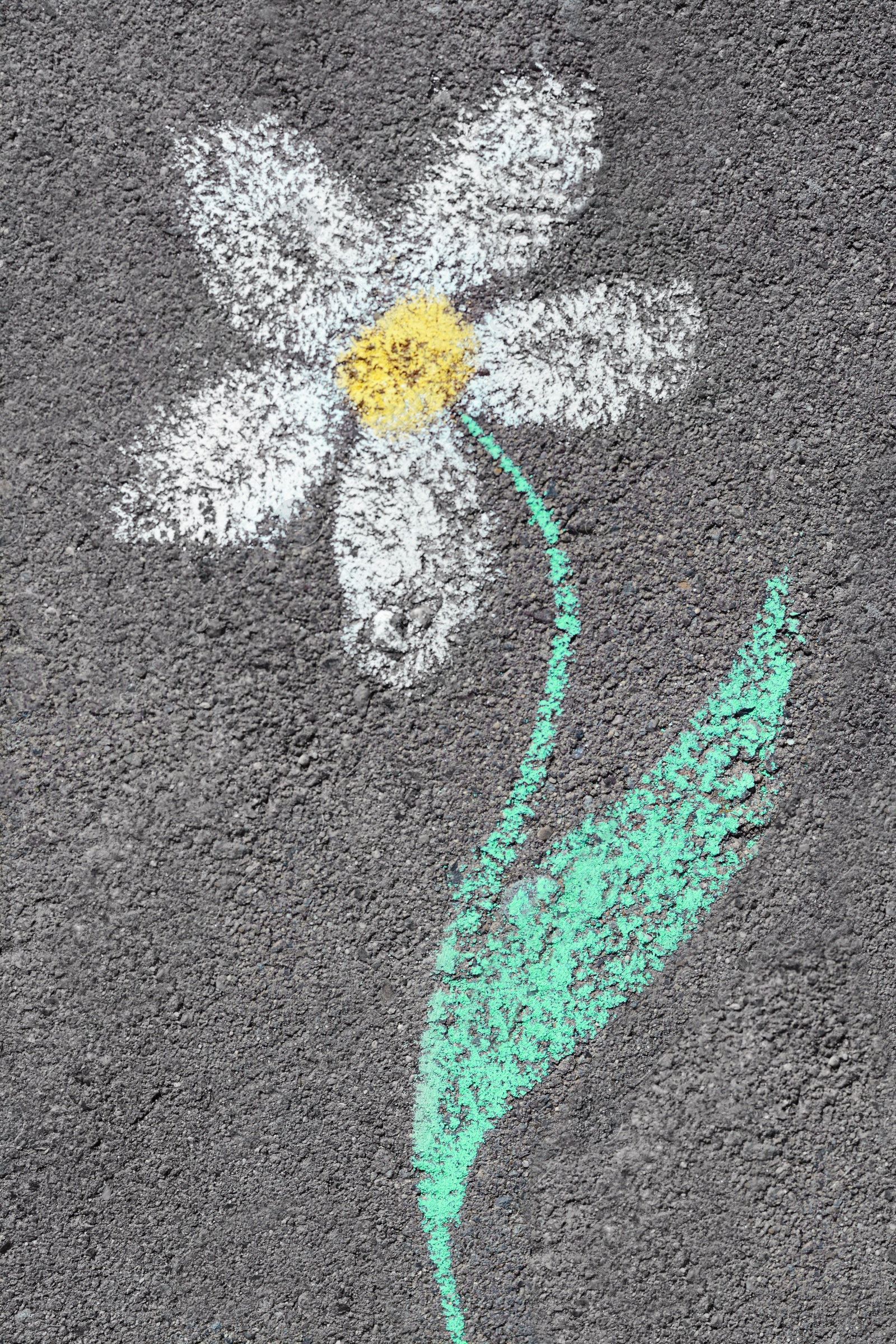 Photo of Flower drawn with colorful chalks on asphalt outdoors, top view