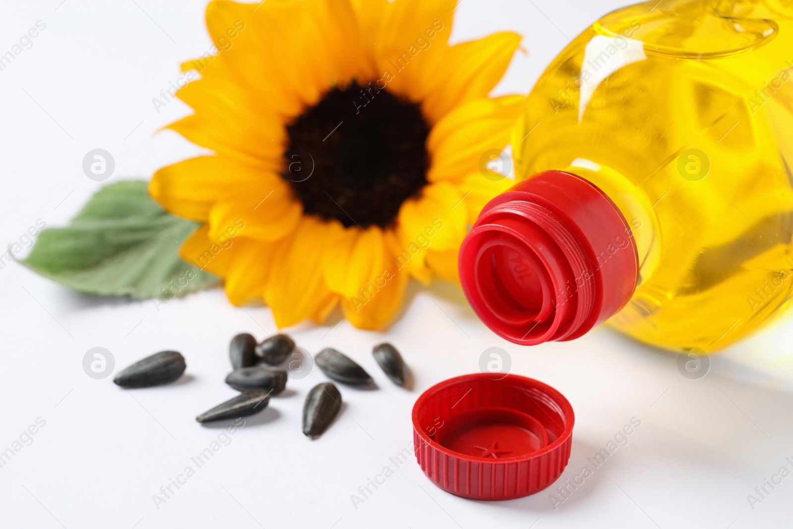 Photo of Bottle of cooking oil, sunflower and seeds on white table, closeup