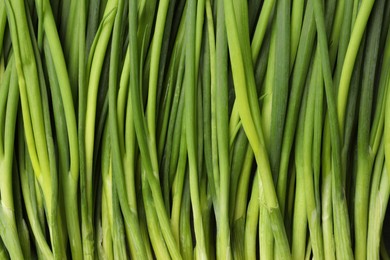 Fresh green spring onions as background, top view