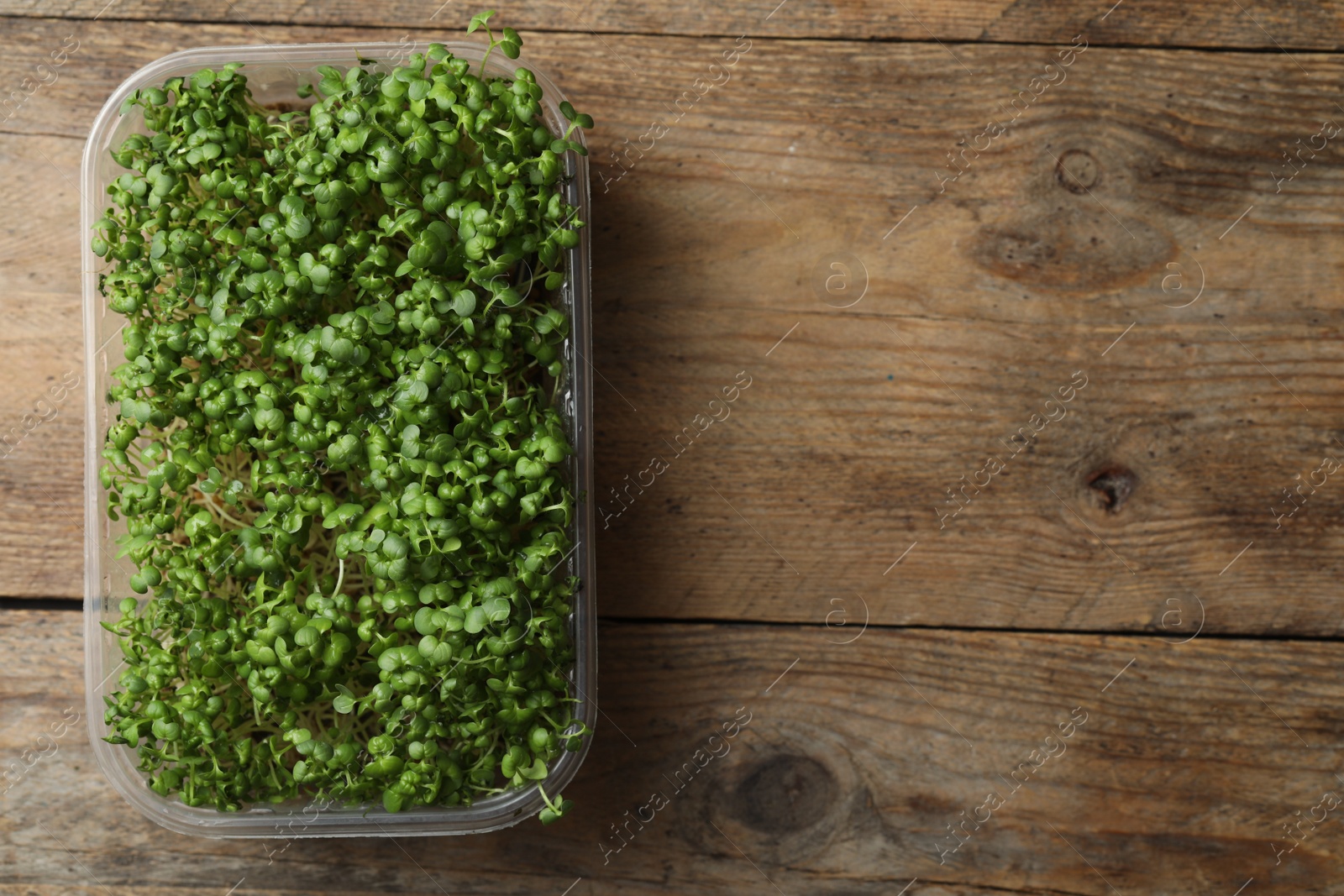 Photo of Sprouted arugula seeds in plastic container on wooden table, top view. Space for text