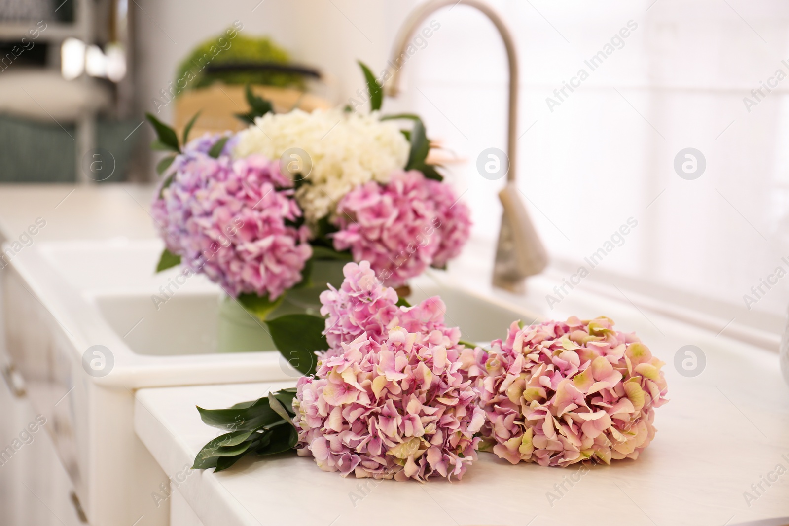 Photo of Beautiful pink hydrangea flowers on light countertop, closeup