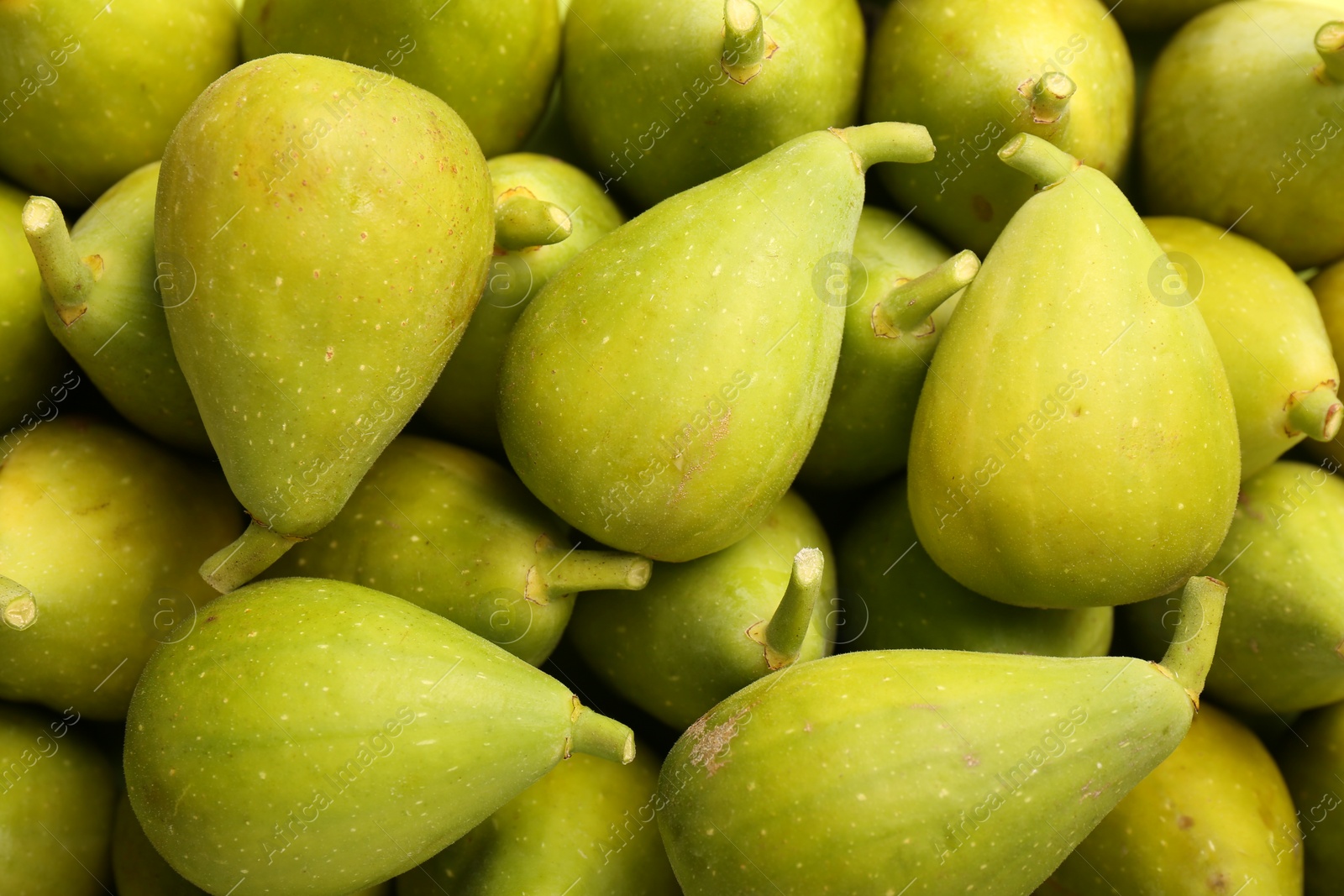 Photo of Many fresh green figs as background, top view