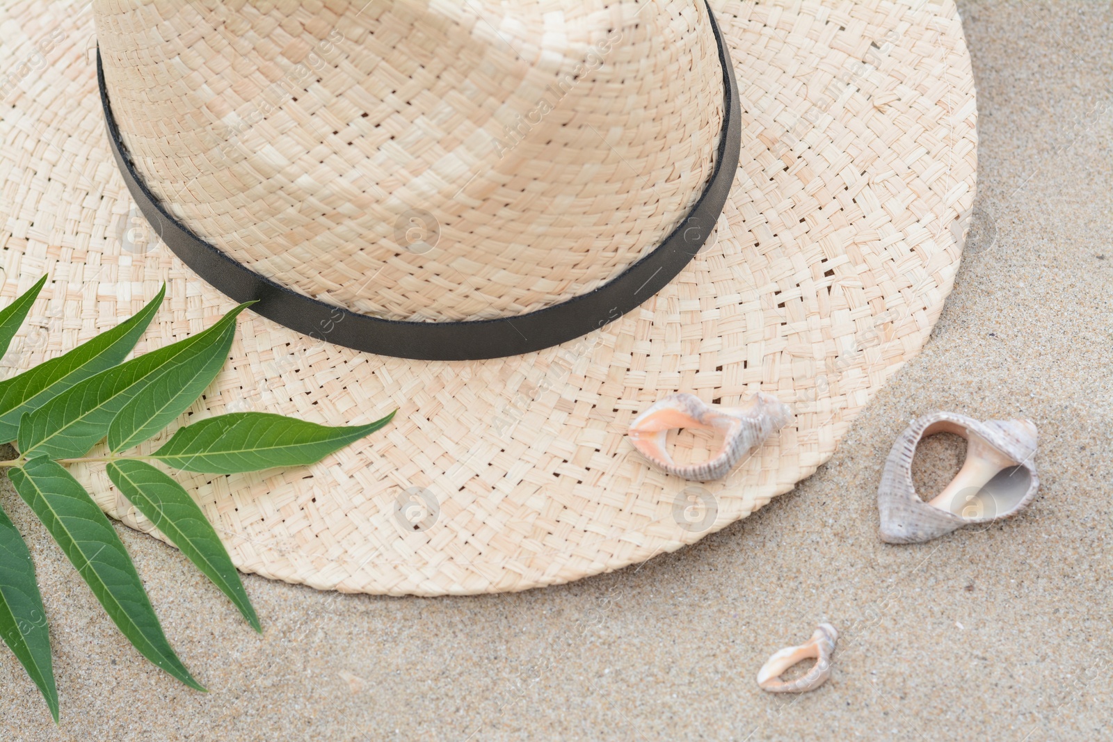 Photo of Straw hat, seashells and green leaves on sandy beach, flat lay