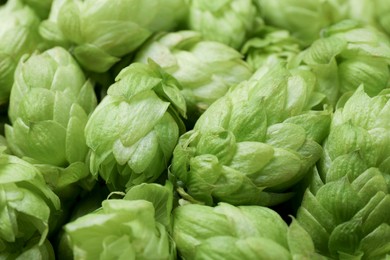 Fresh ripe green hops as background, closeup