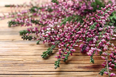 Photo of Heather branches with beautiful flowers on wooden table, closeup