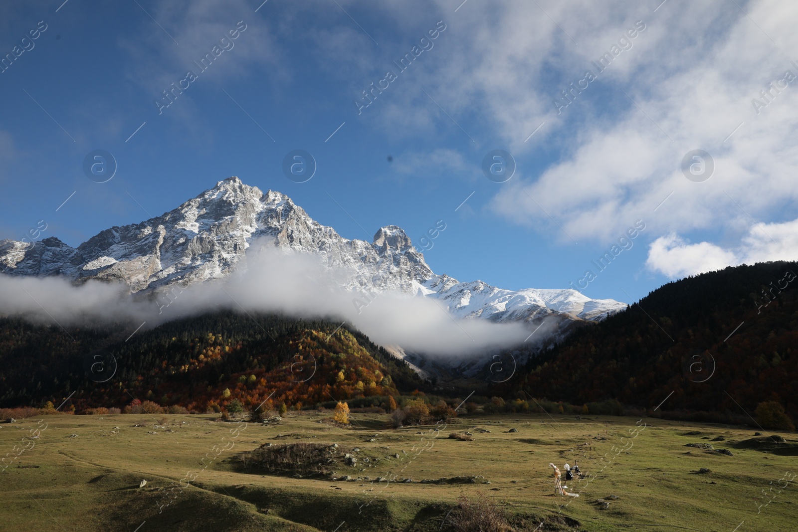 Photo of Picturesque view of high mountains with forest covered by mist and meadow on autumn day