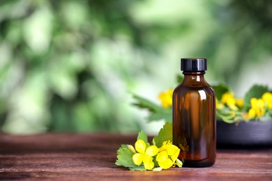 Photo of Bottle of celandine tincture and plant on wooden table outdoors, space for text