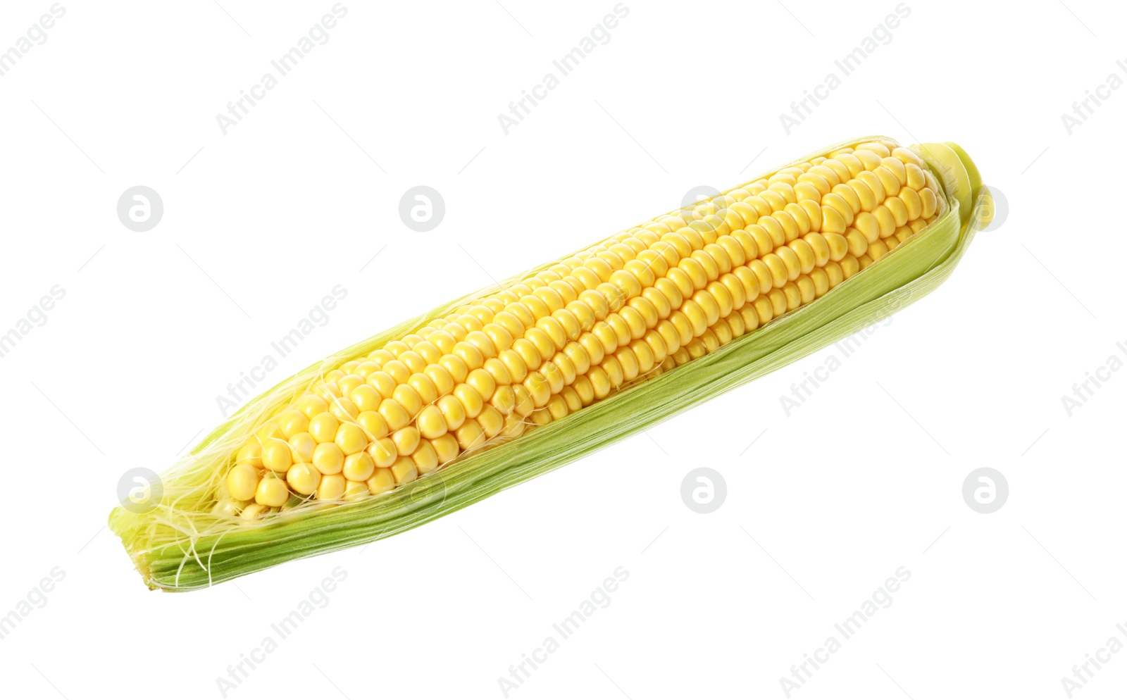 Photo of Ripe raw corn cob with husk isolated on white