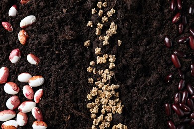 Photo of Many different vegetable seeds on fertile soil, top view