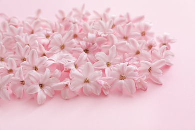 Pile of spring hyacinth flowers on color background, closeup