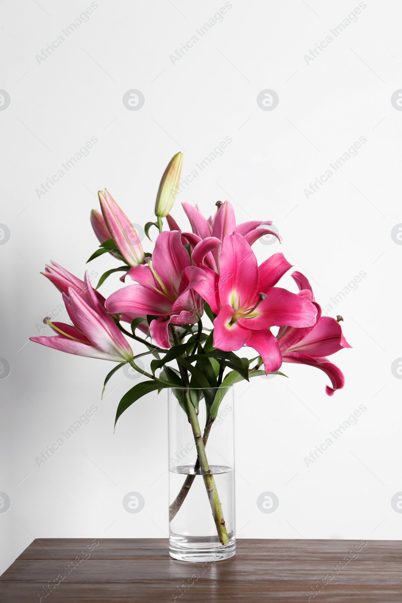 Photo of Beautiful pink lily flowers in vase on wooden table against white background