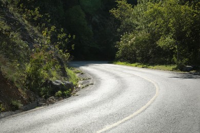 Photo of Asphalt road near green trees on sunny day