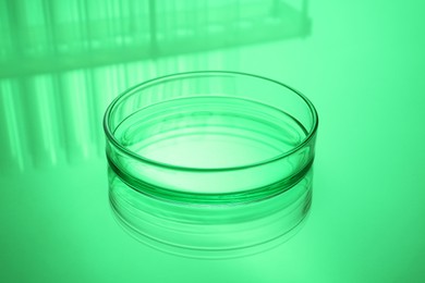 Photo of Petri dish with liquid on table, toned in green