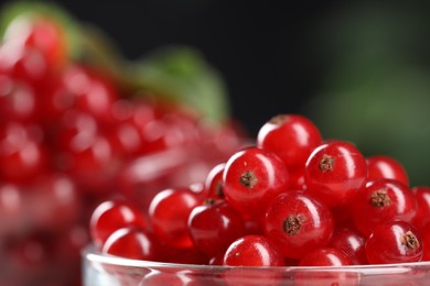 Many ripe red currants on blurred background, closeup. Space for text