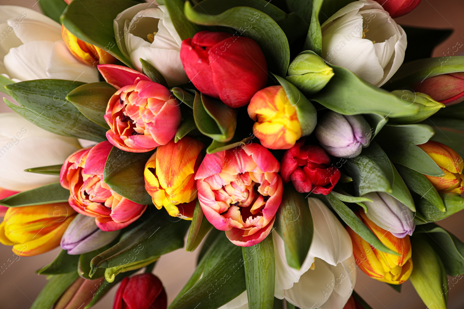 Photo of Beautiful bouquet of colorful tulip flowers, closeup