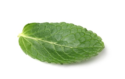 Leaf of fresh mint isolated on white