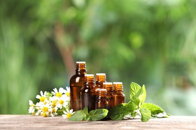 Photo of Bottles with essential oils, mint and chamomile on wooden table against blurred green background. Space for text