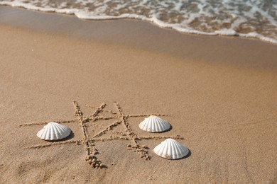 Playing Tic tac toe game with shells on sand near sea. Space for text