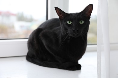 Adorable black cat with green eyes sitting on window sill. Lovely pet