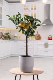 Potted lemon tree with ripe fruits on small table in kitchen