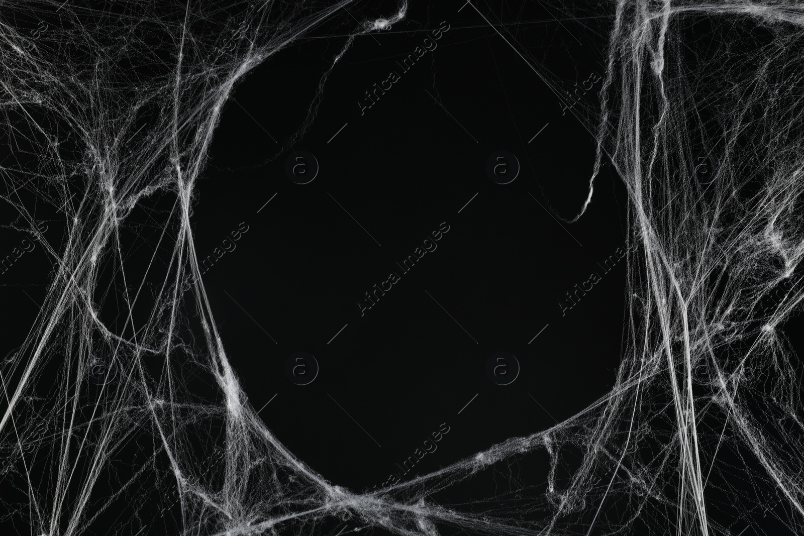 Photo of Creepy white cobweb on black background, space for text