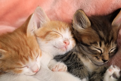 Photo of Cute little kittens on pink blanket, closeup view