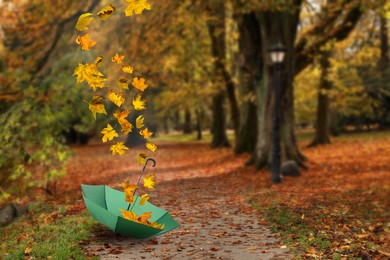 Image of Autumn atmosphere. Golden leaves flying out of green umbrella on footpath in beautiful park