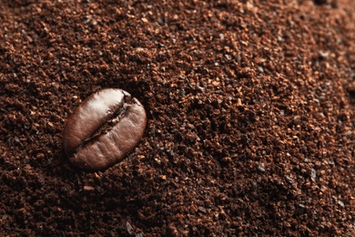 Coffee grounds, roasted bean and space for text, closeup