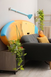 SUP board, paddle and stylish sofa in living room. Interior design