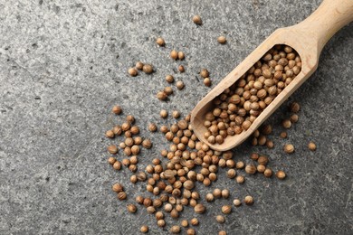 Photo of Scoop with dried coriander seeds on gray textured table, top view