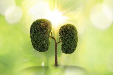 Image of Human kidneys model made of trees with green leaves against blurred background. Health care concept