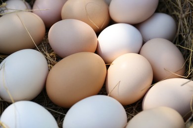 Photo of Fresh raw chicken eggs in nest, closeup