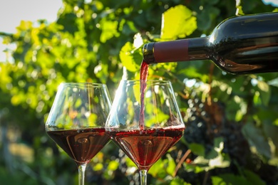 Pouring wine from bottle into glass in vineyard, closeup