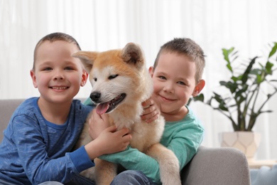 Happy boys with Akita Inu dog on sofa in living room. Little friends